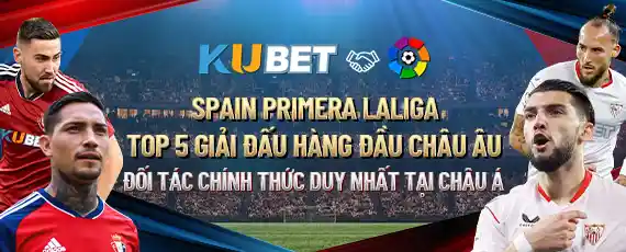 banner ku6301